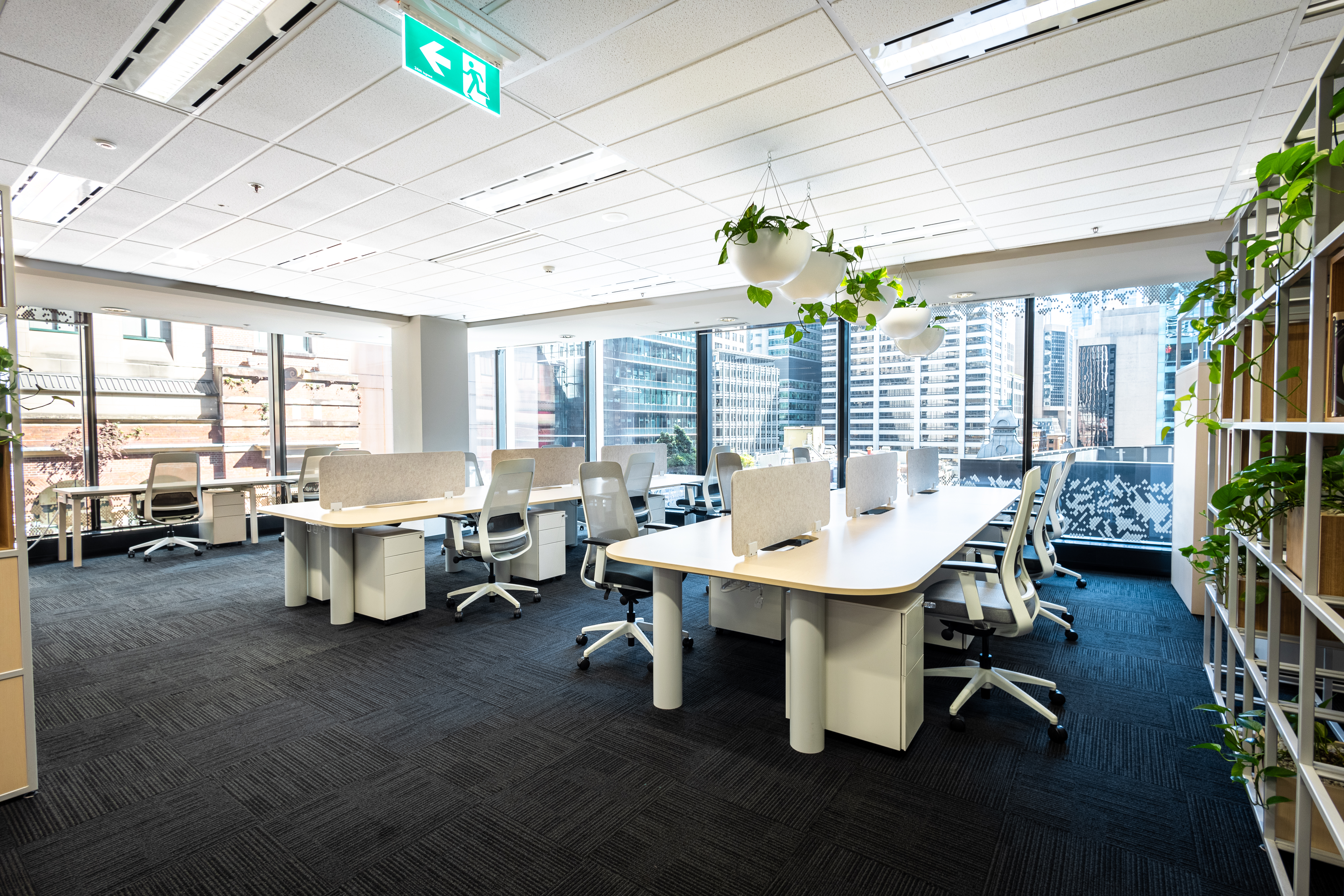 5 Person Coworking Desk