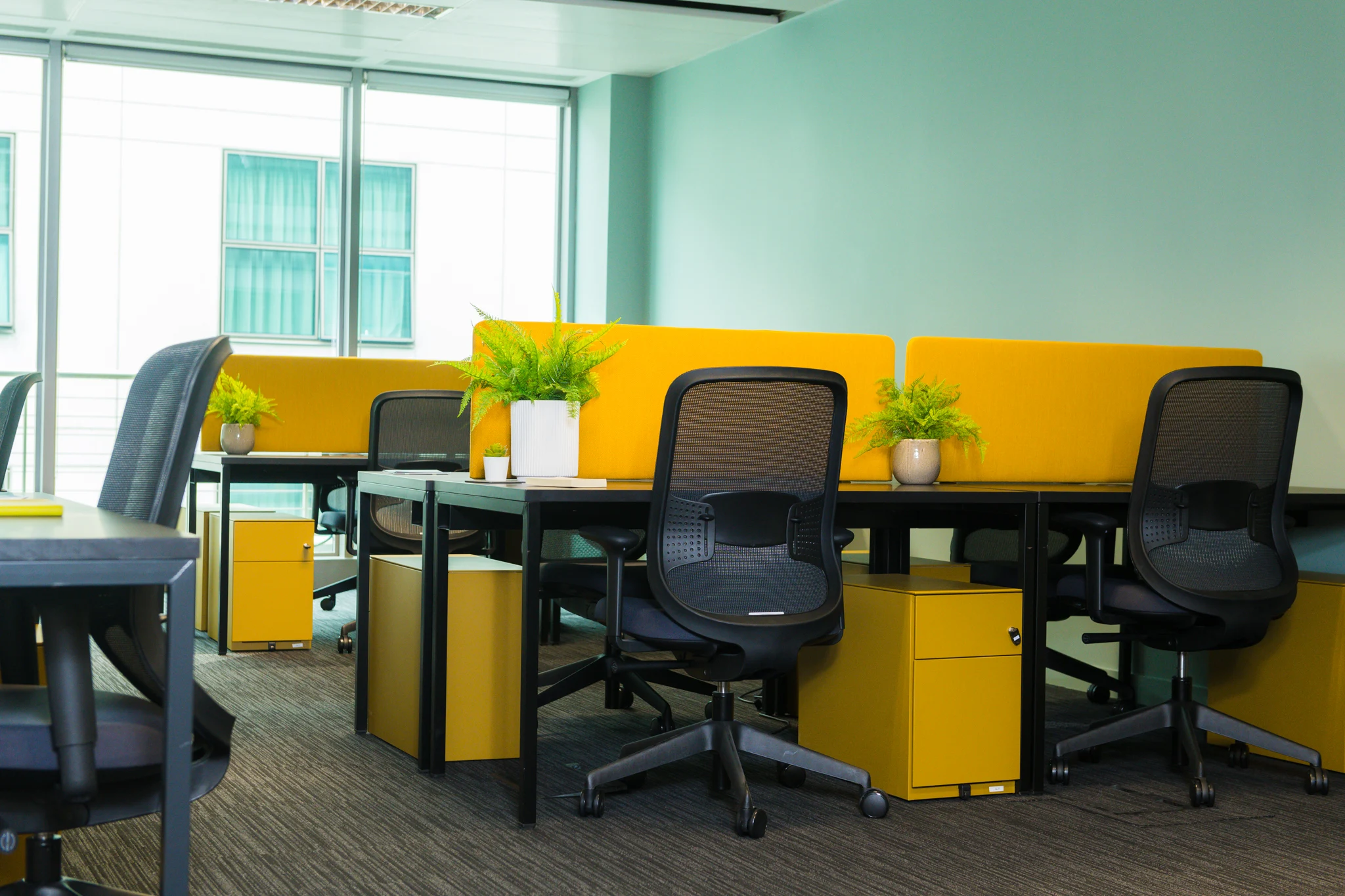 1 Person Virtual Office