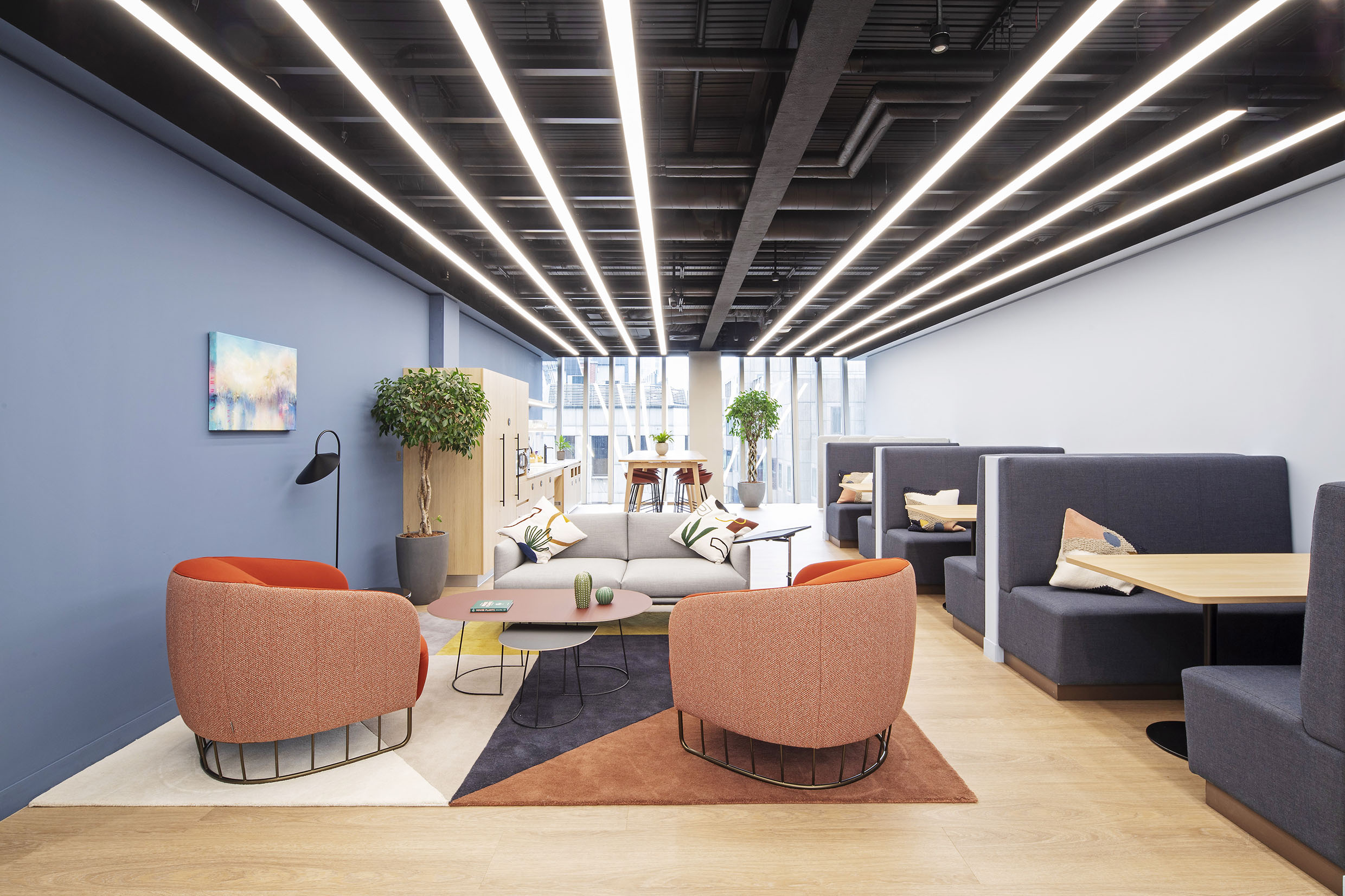 30 Person Enterprise Suite