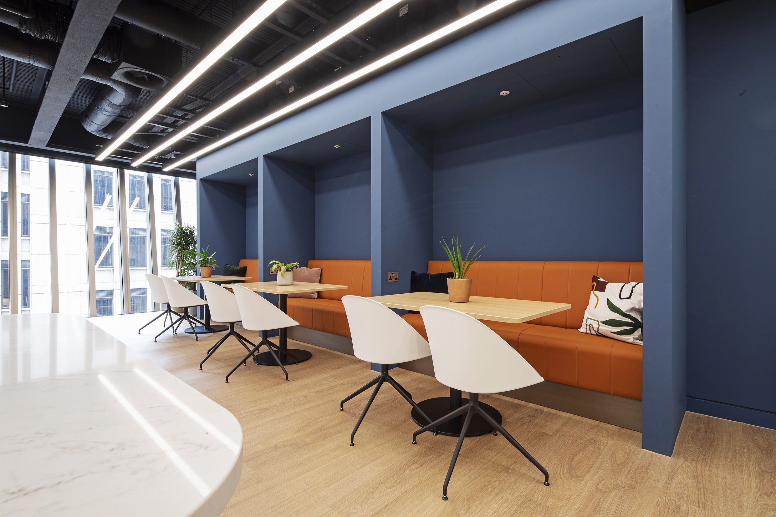 21 Person Enterprise Suite