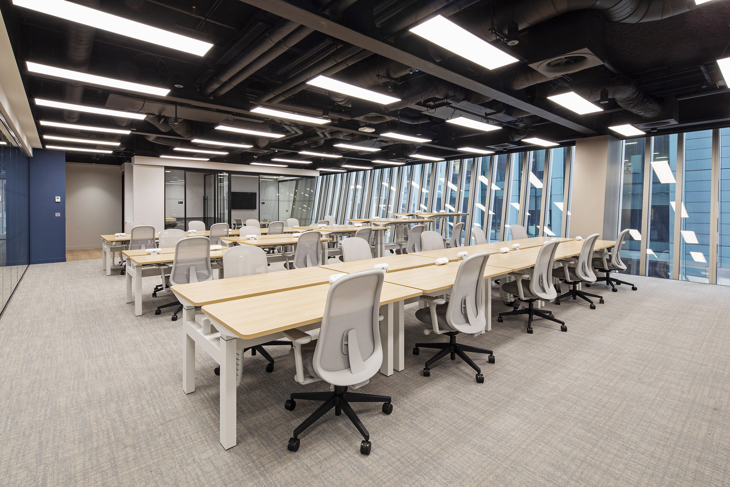 19 Person Enterprise Suite