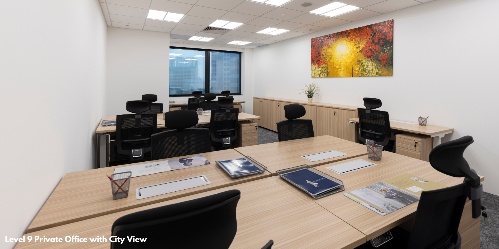 1 Person Private Office