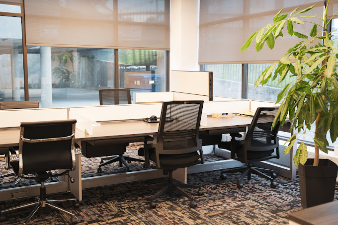 1 Person Virtual Office