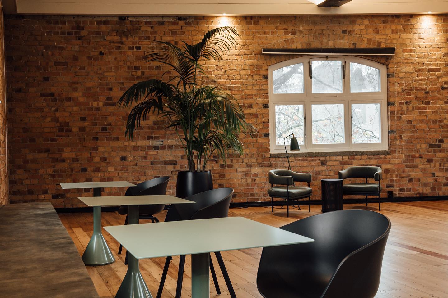 6 Person Coworking Desk