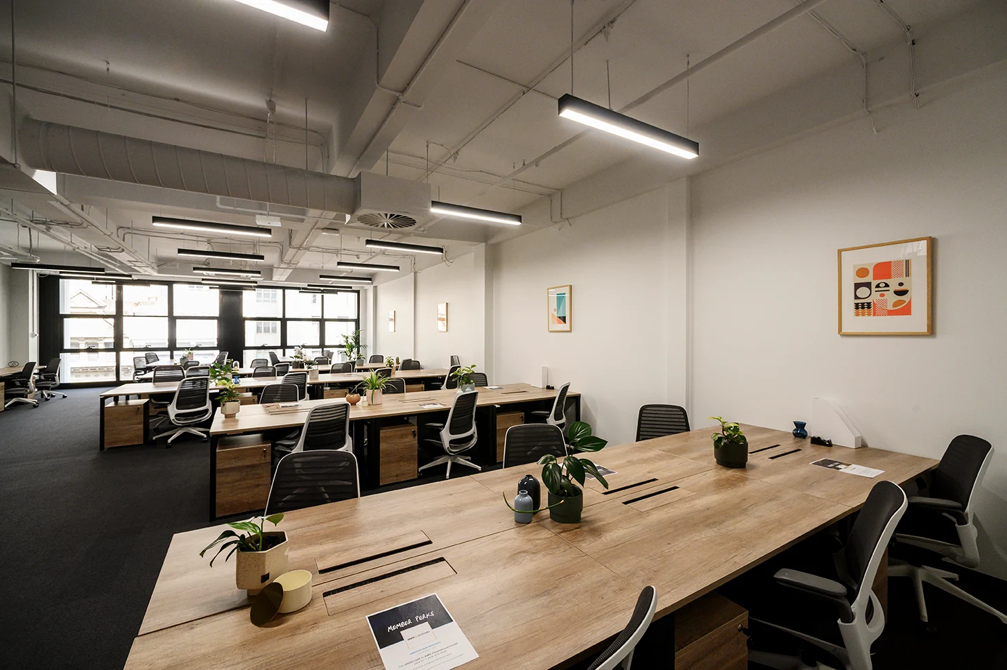 29 Person Enterprise Suite