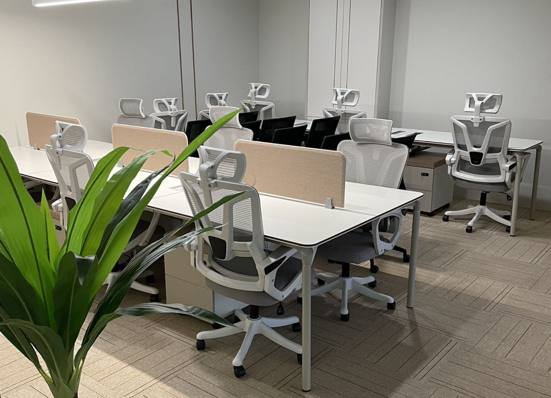 1 Person Virtual Office