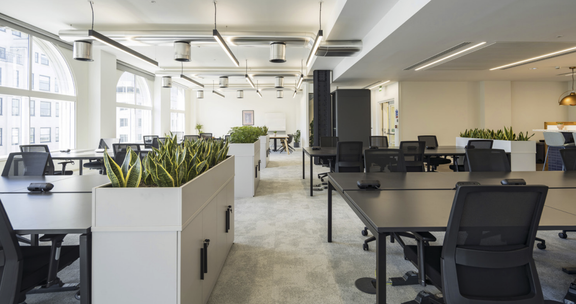 42 Person Enterprise Suite