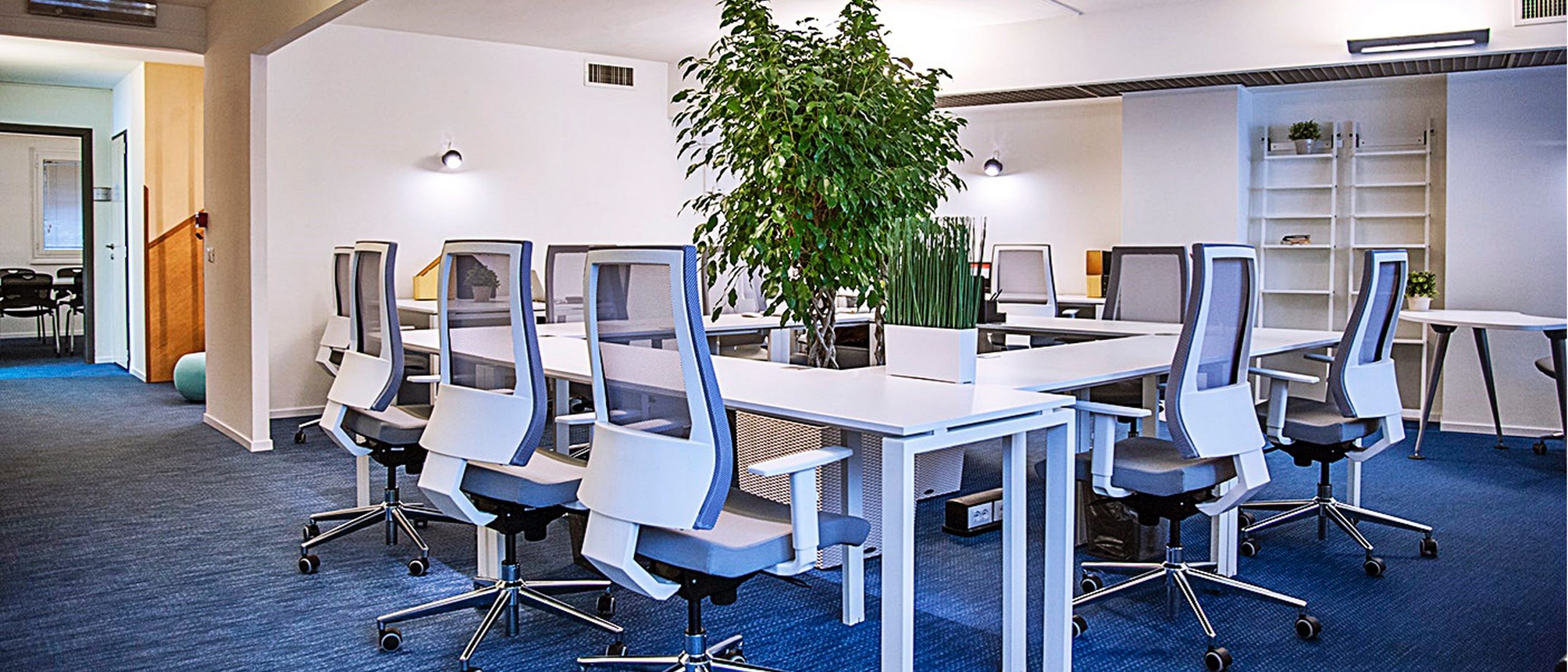 1 Person Coworking Desk