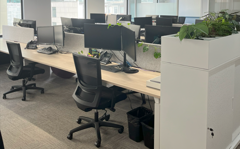 1 Person Shared Office