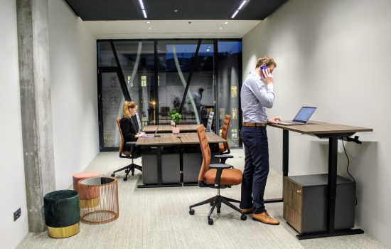 Office Space in Nove Mesto