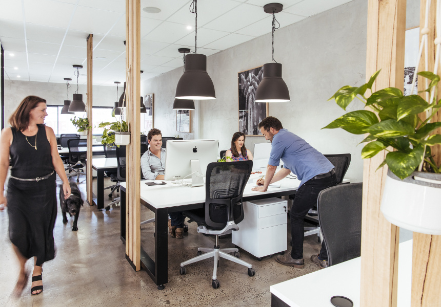 20 Person Coworking Desk
