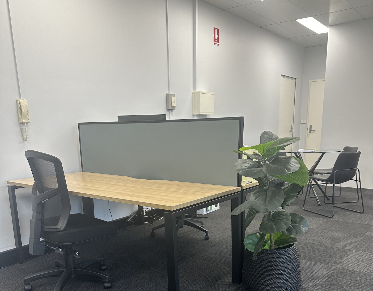 1 Person Shared Office