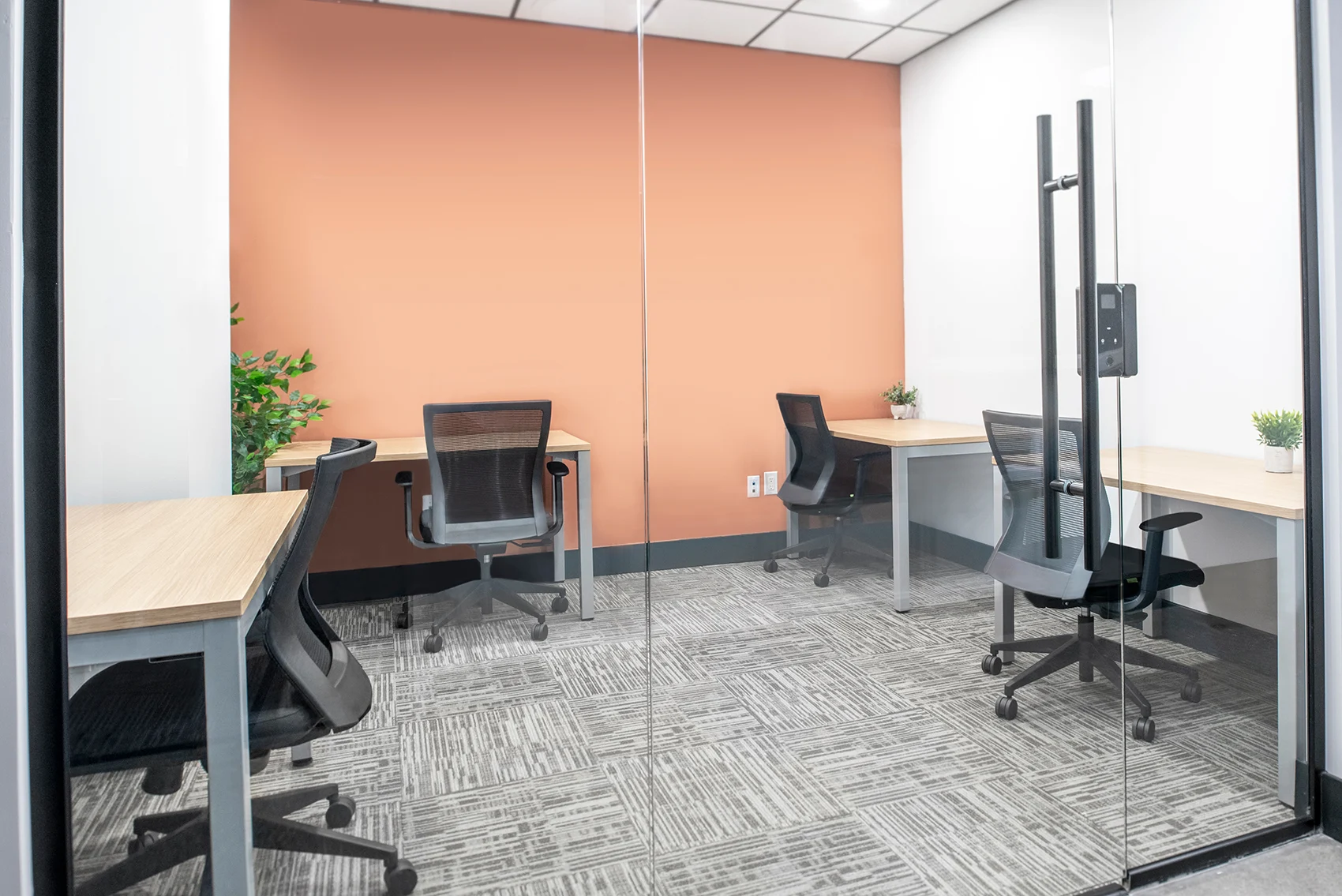 5 Person Coworking Desk