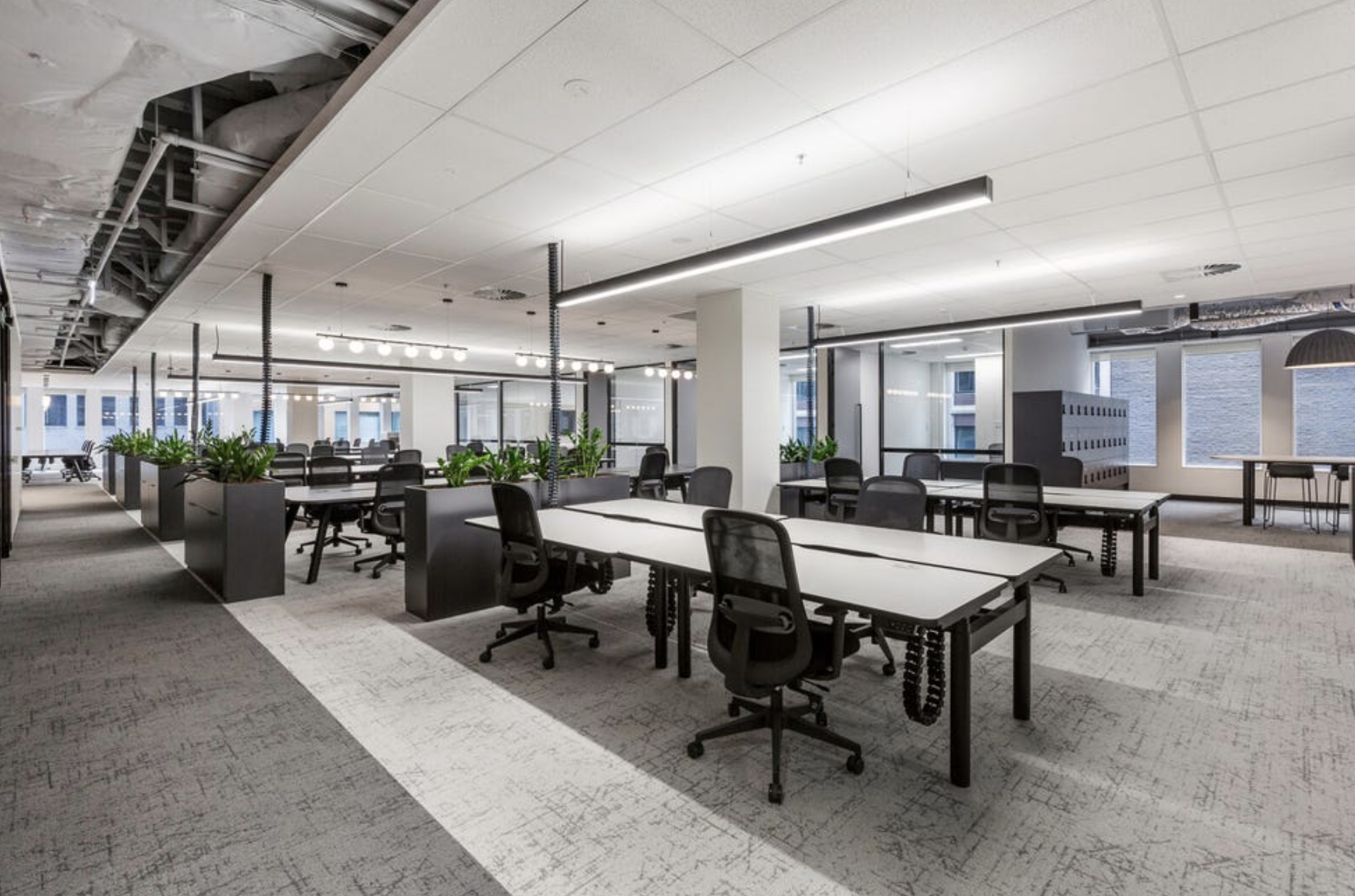 8 Person Coworking Desk