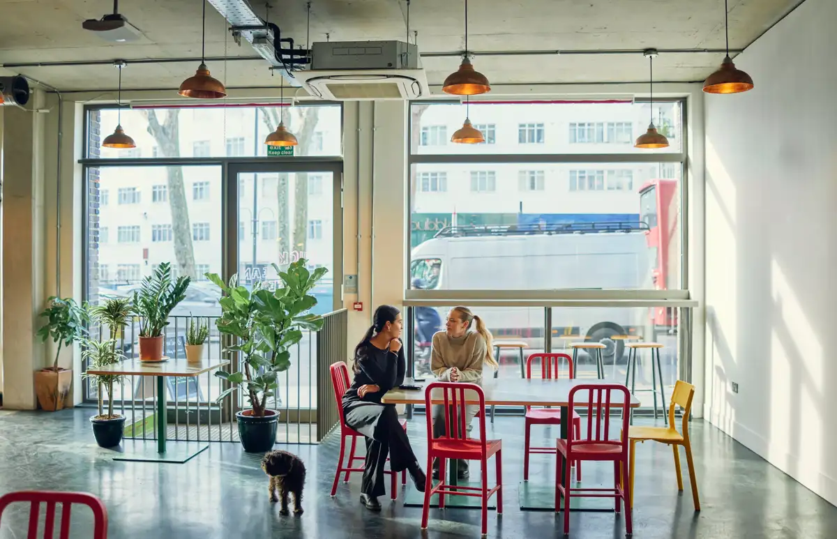 21 Person Enterprise Suite