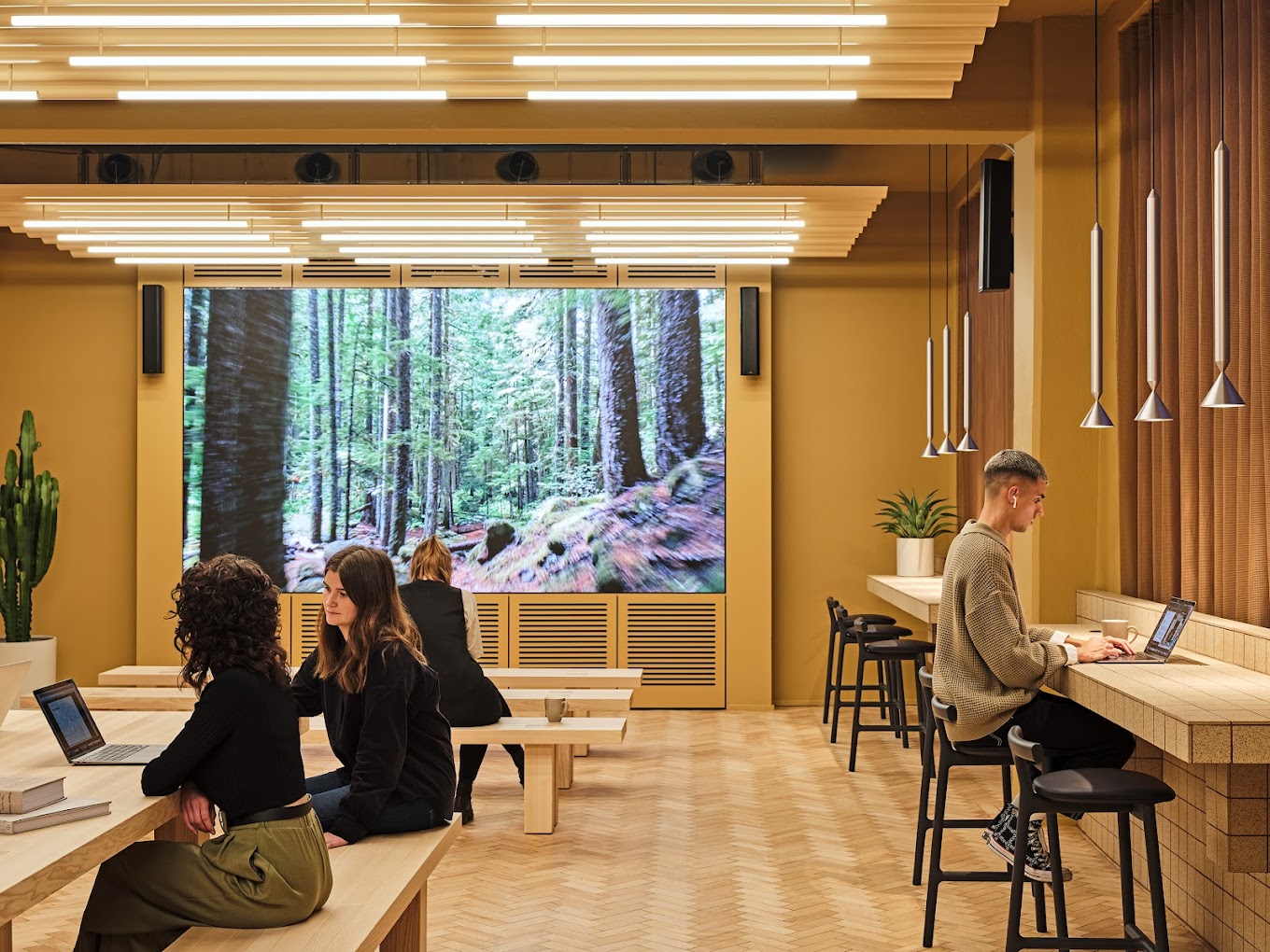 3 Person Private Office