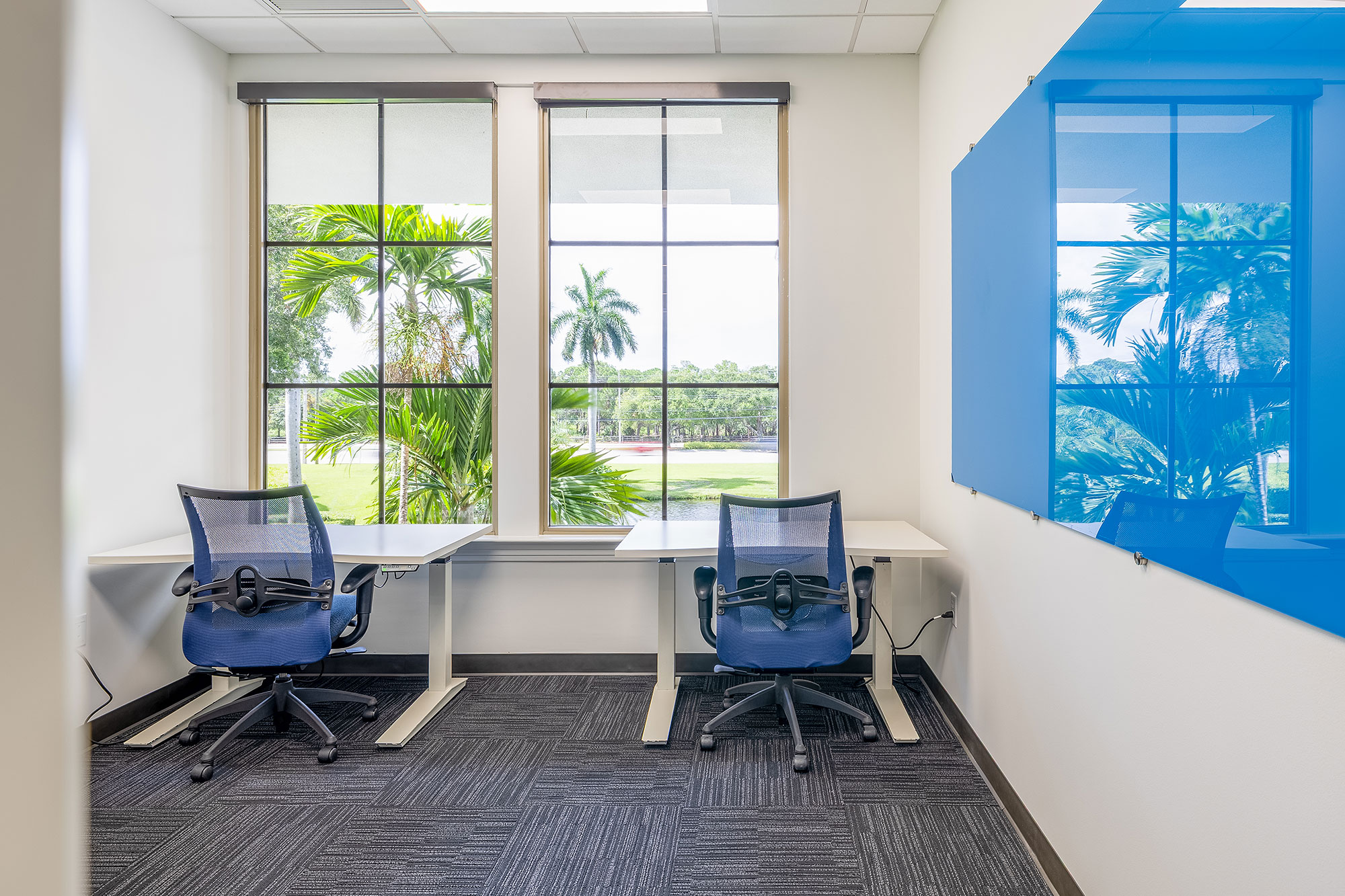 1 Person Virtual Office