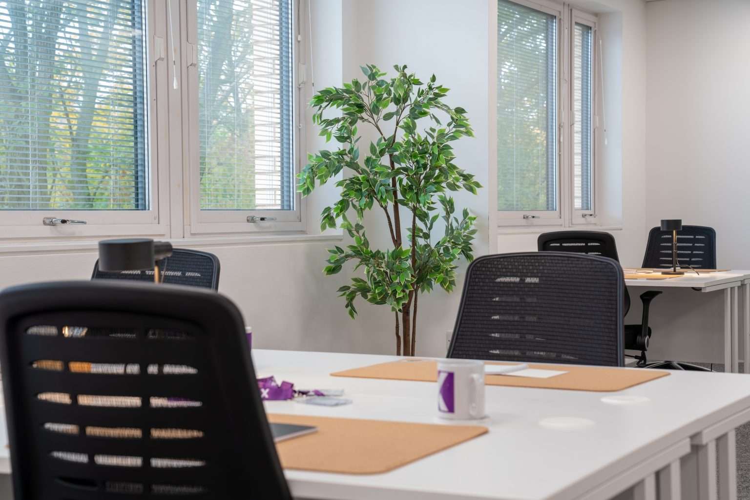 9 Person Private Office