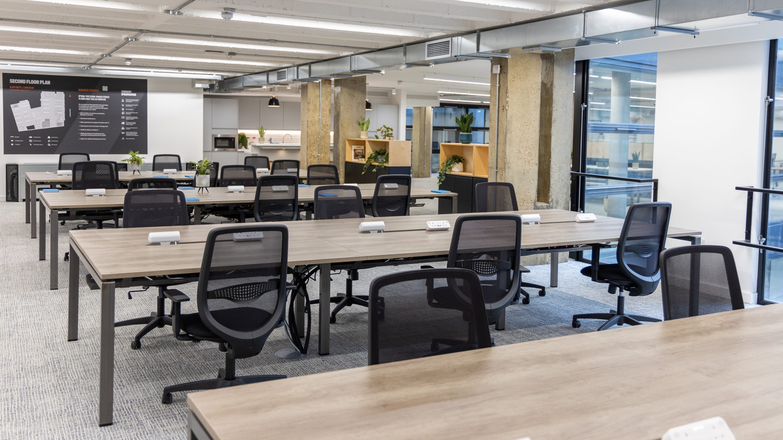 100 Person Enterprise Suite