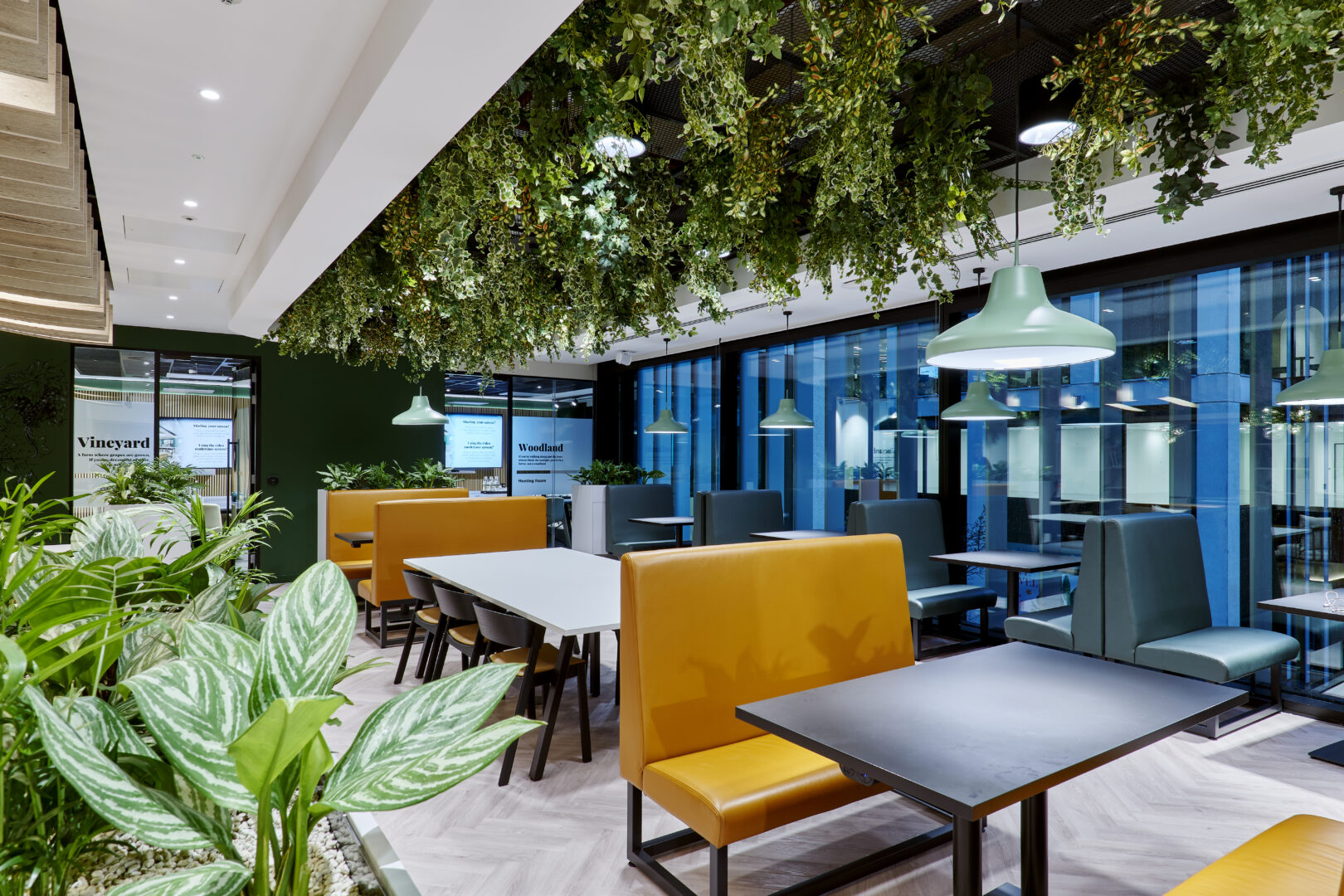 15 Person Enterprise Suite