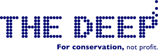 Logo Of The Deep Business Centre