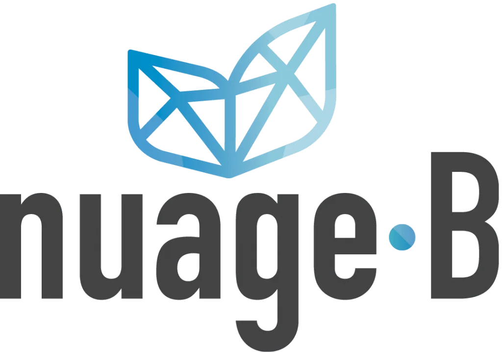 Logo Of Nuage B