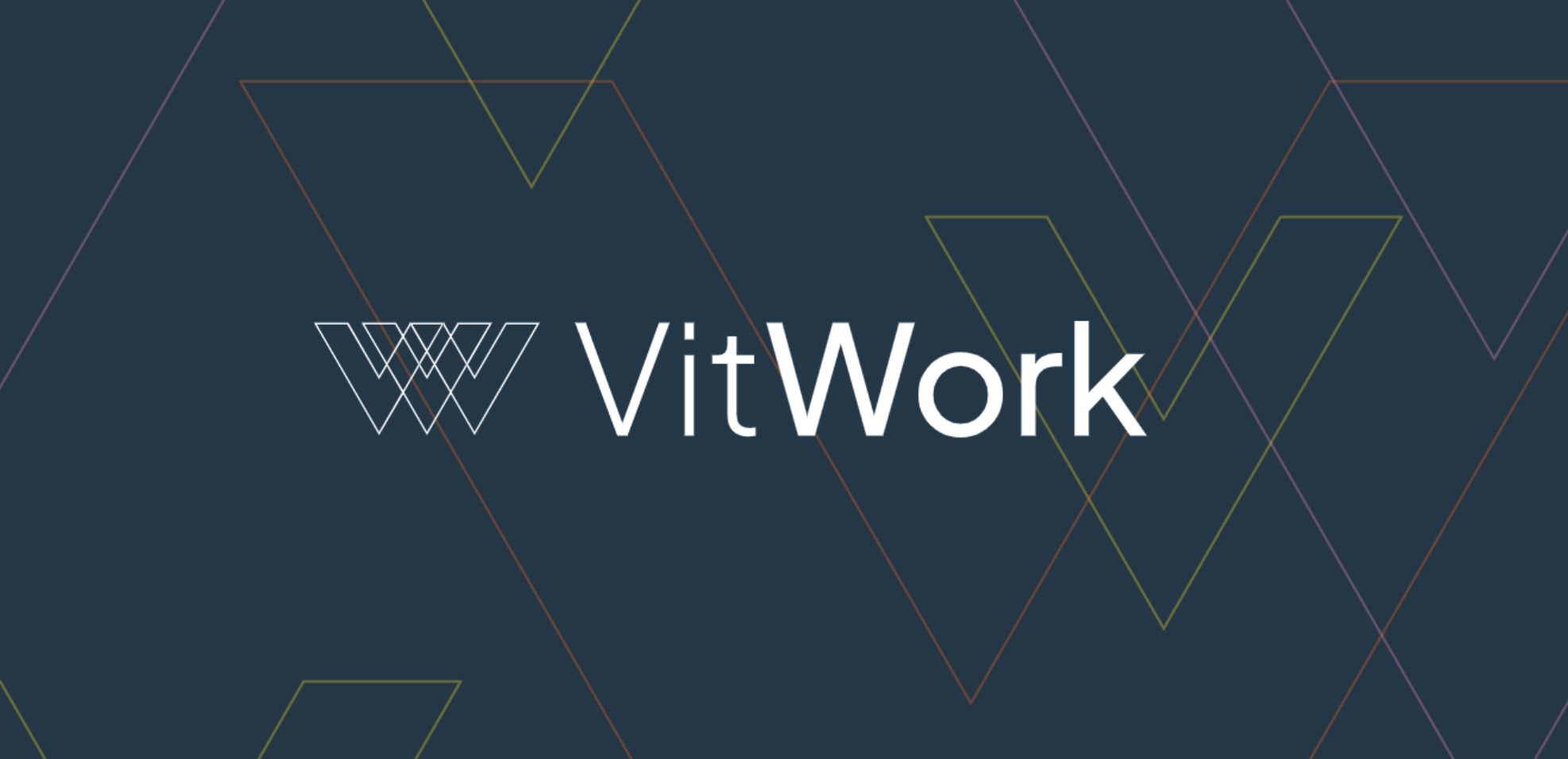 Logo Of VitWorks