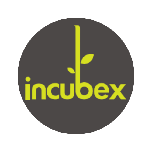 Logo Of Incubex