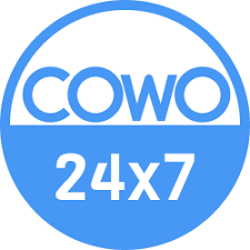 Cowo24x7 Logo Of Cowo24x7