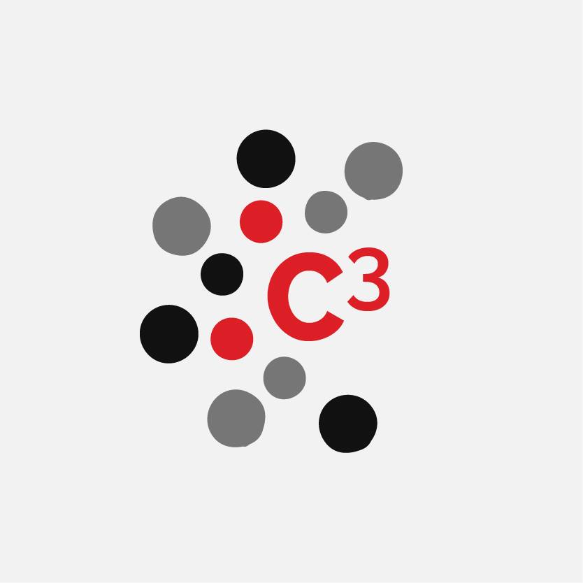 Logo Of C3 Village